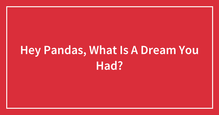 Hey Pandas, What Is A Dream You Had?