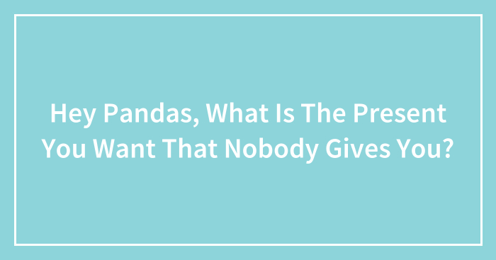 Hey Pandas, What Is The Present You Want That Nobody Gives You?