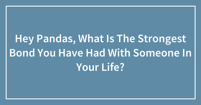 Hey Pandas, What Is The Strongest Bond You Have Had With Someone In Your Life?