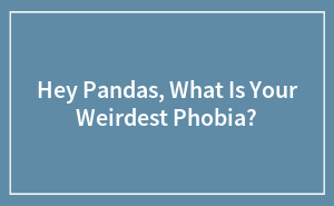 Hey Pandas, What Is Your Weirdest Phobia?