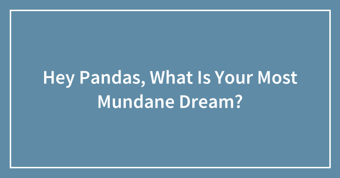Hey Pandas, What Is Your Most Mundane Dream?