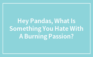 Hey Pandas, What Is Something You Hate With A Burning Passion?