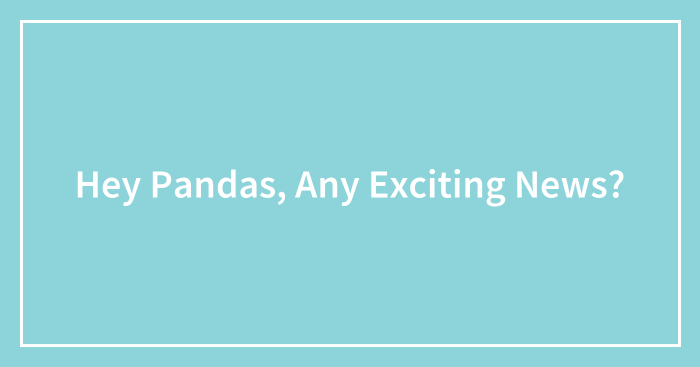 Hey Pandas, Any Exciting News?