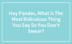 Hey Pandas, What Is The Most Ridiculous Thing You Say So You Don’t Swear?