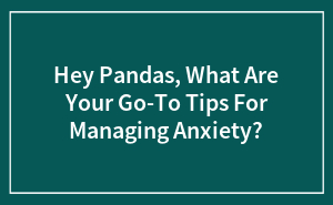 Hey Pandas, What Are Your Go-To Tips For Managing Anxiety?