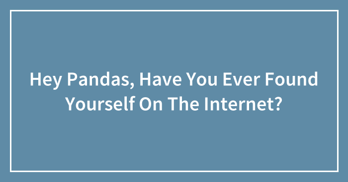 Hey Pandas, Have You Ever Found Yourself On The Internet?