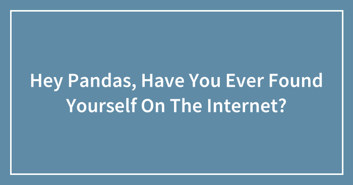 Hey Pandas, Have You Ever Found Yourself On The Internet? (Closed)