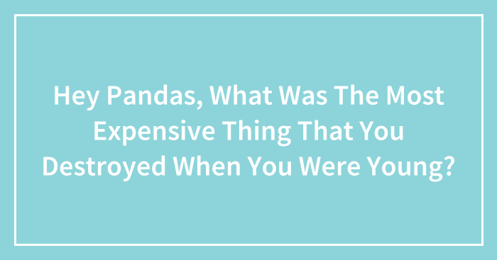Hey Pandas, What Was The Most Expensive Thing That You Destroyed When You Were Young? (Closed)