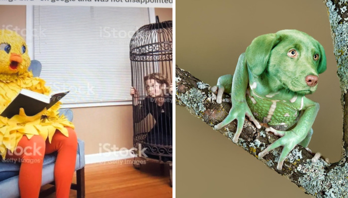 Hey Pandas, Post The Strangest Stock Photo You Can Find And Caption It (Closed)