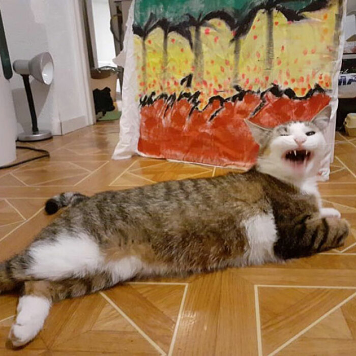 Hey Pandas, Post The Worst Picture Of Your Pet (Closed)