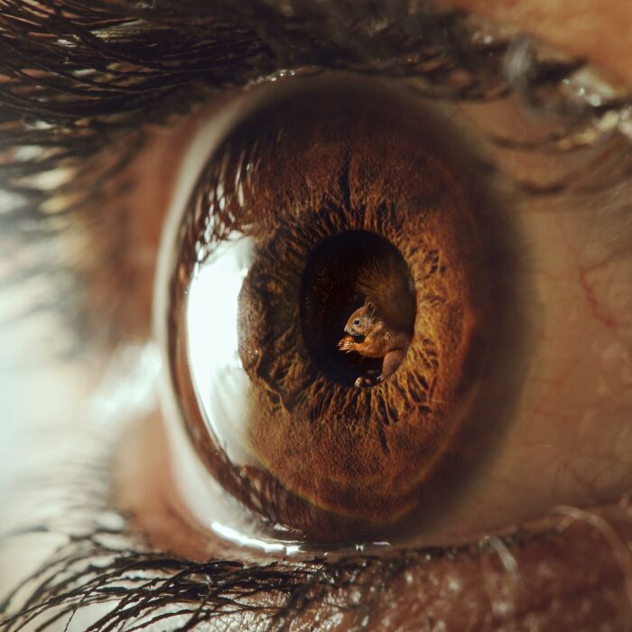 I Created 10 Fantasy Eye Art Pieces Using Photoshop