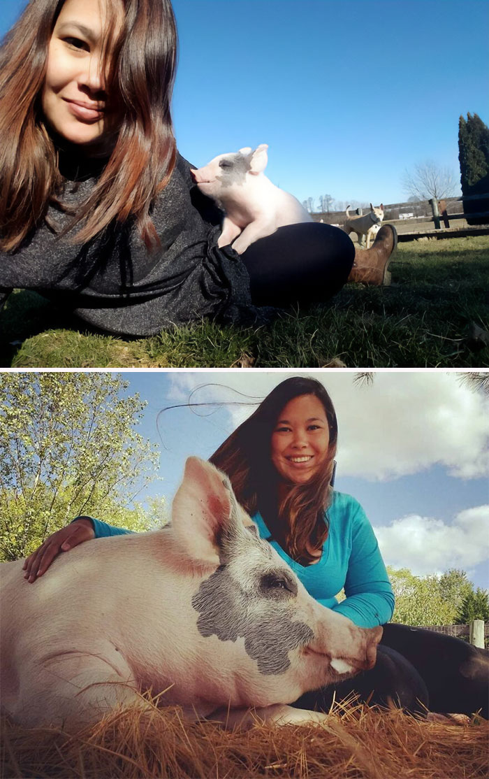 A young woman grew a big pig