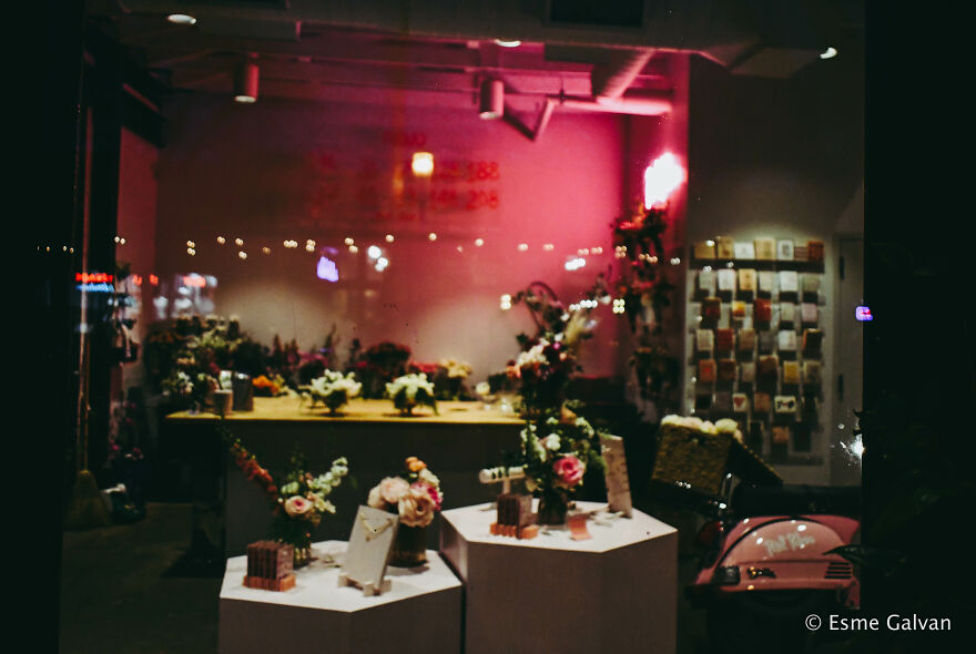 Feb. 28, 2020 - A Window Before The World Changed - (Or, My Pictures Of Deep Ellum In Dallas, Texas) Feb. 28, 2020 - A Window Before The World Changed - (Or, My Pictures Of Deep Ellum In Dallas, Texas)