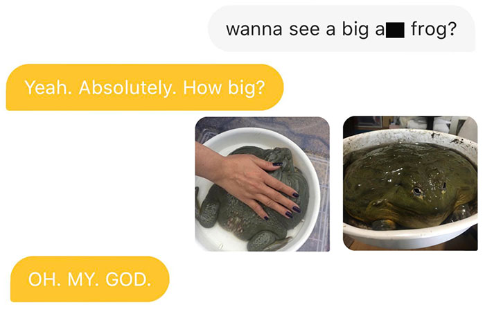 40 Times Bumble Conversations Took Such An Unexpected Turn, People Had To Share Them On This Online Group