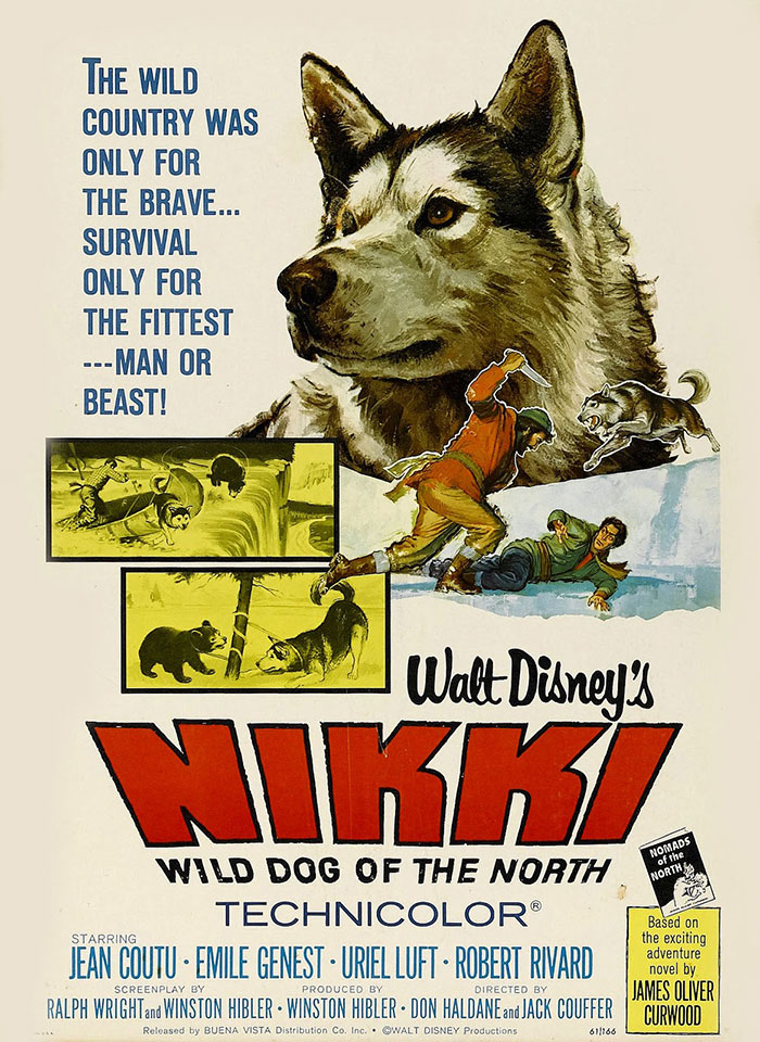 Nikki, Wild Dog Of The North