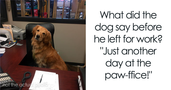 197 Funny Dog Puns to Honor the Pup-arazzi Worthy Furballs
