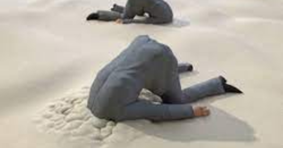 Hey Pandas, Post The Strangest Stock Photo You Can Find And Caption It - Vimarsana News