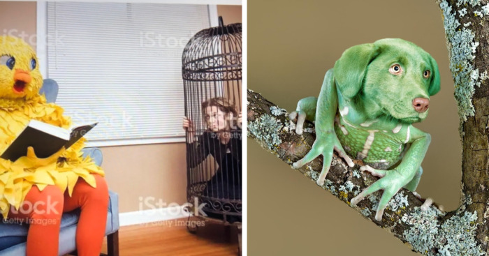 Hey Pandas, Post The Strangest Stock Photo You Can Find And Caption It (Closed)