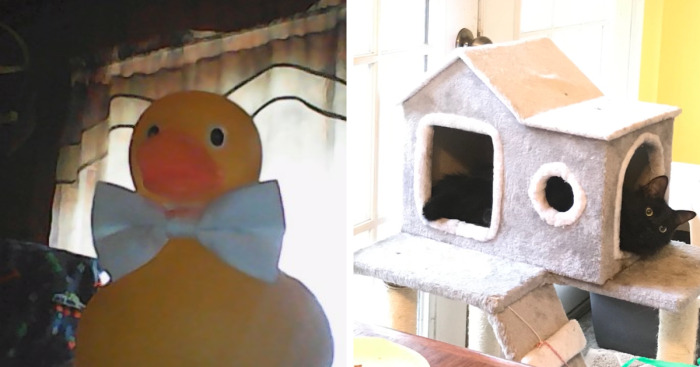 Hey Pandas, Have You Ever Found Something That Just Begged You To Buy It? If So, Post It Here (Closed)