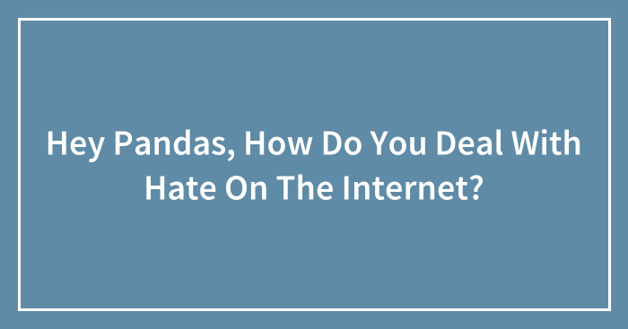 Hey Pandas, How Do You Deal With Hate On The Internet?