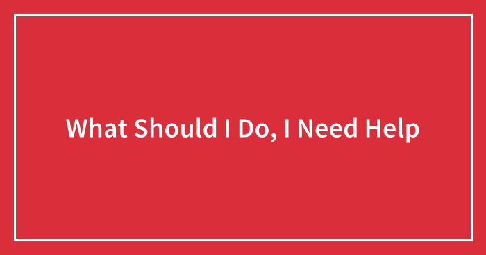 What Should I Do, I Need Help