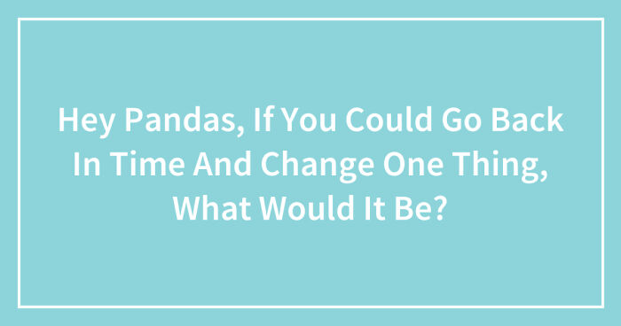 Hey Pandas, If You Could Go Back In Time And Change One Thing, What Would It Be? (Closed)