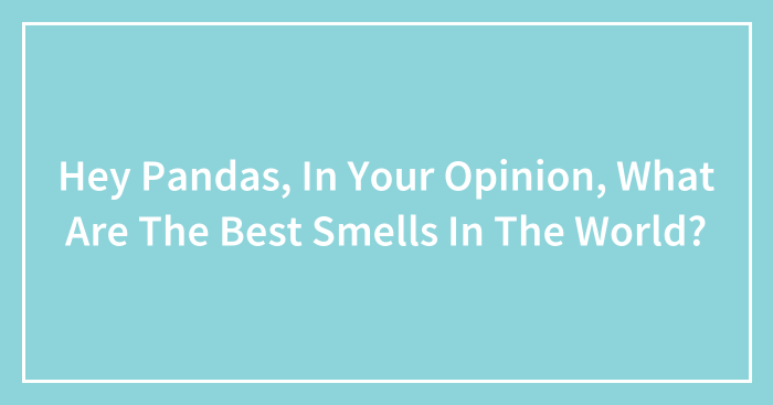 Hey Pandas, In Your Opinion, What Are The Best Smells In The World? (Closed)