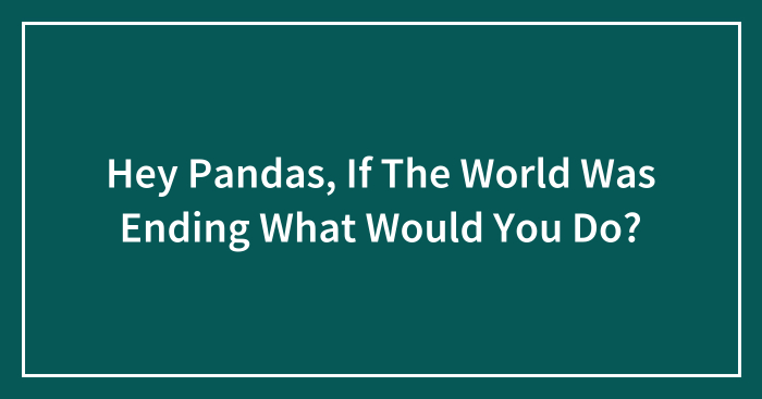 Hey Pandas, If The World Was Ending What Would You Do?