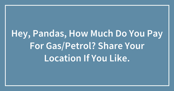 Hey, Pandas, How Much Do You Pay For Gas/Petrol? Share Your Location If You Like.