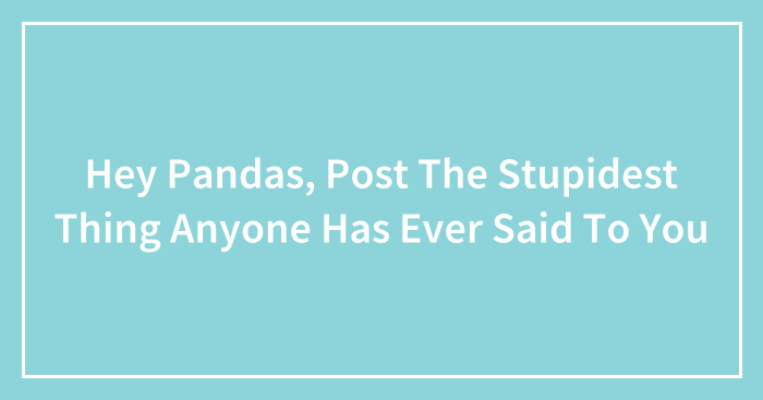 Hey Pandas, Post The Stupidest Thing Anyone Has Ever Said To You