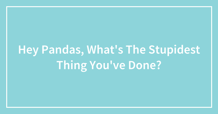 Hey Pandas, What’s The Stupidest Thing You’ve Done?