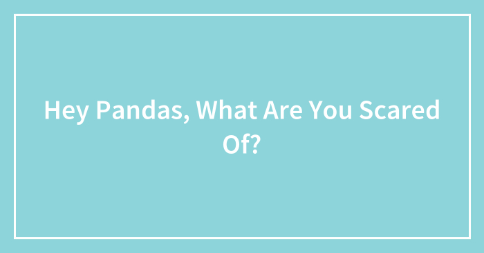 Hey Pandas, What Are You Scared Of?