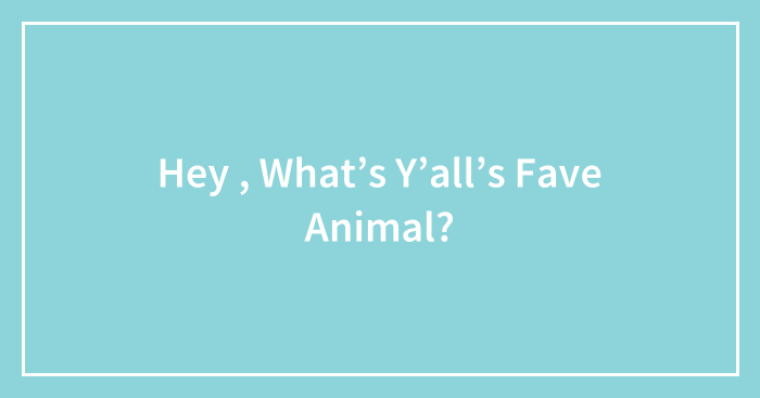 Hey , What’s Y’all’s Fave Animal?