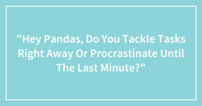 “Hey Pandas, Do You Tackle Tasks Right Away Or Procrastinate Until The Last Minute?” (Closed)