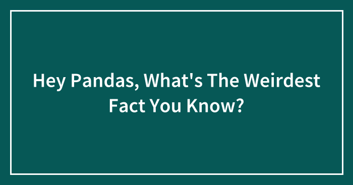 Hey Pandas, What’s The Weirdest Fact You Know? (Closed)