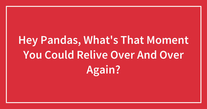 Hey Pandas, What’s That Moment You Could Relive Over And Over Again? (Closed)