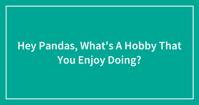 Hey Pandas, What’s A Hobby That You Enjoy Doing? (Closed)