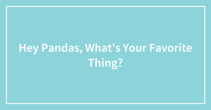 Hey Pandas, What’s Your Favorite Thing? (Closed)