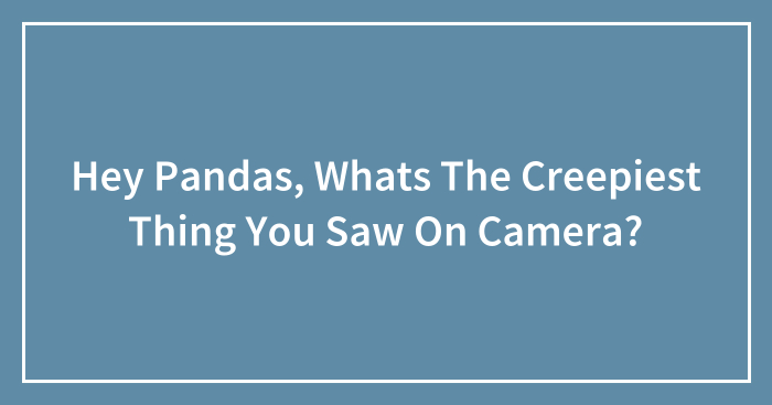 Hey Pandas, Whats The Creepiest Thing You Saw On Camera?