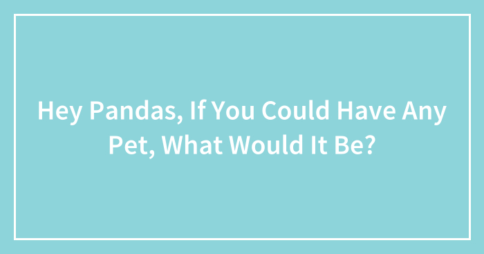 Hey Pandas, If You Could Have Any Pet, What Would It Be?