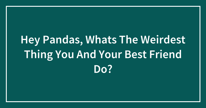 Hey Pandas, Whats The Weirdest Thing You And Your Best Friend Do?