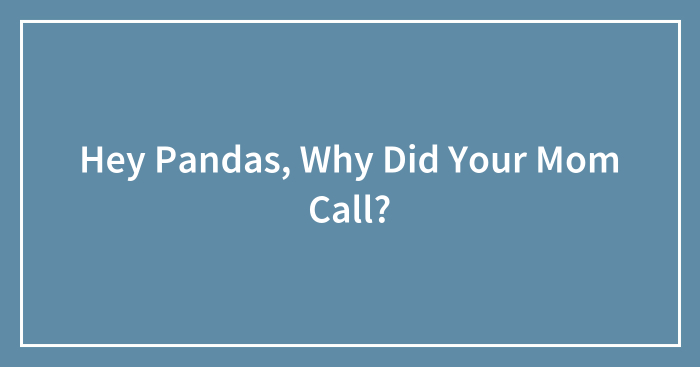 Hey Pandas, Why Did Your Mom Call?