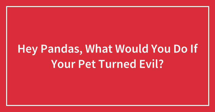 Hey Pandas, What Would You Do If Your Pet Turned Evil?