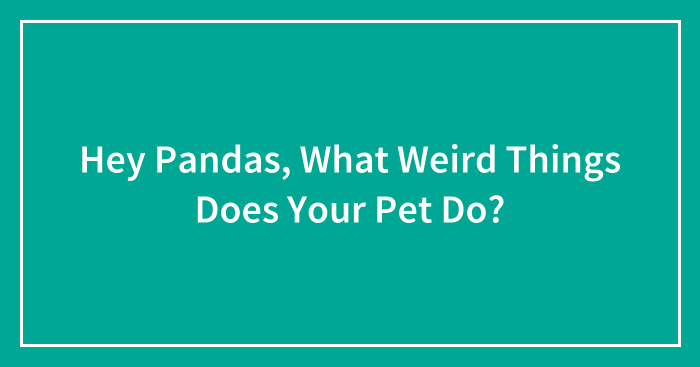 Hey Pandas, What Weird Things Does Your Pet Do?
