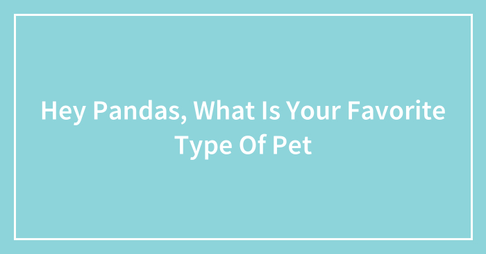 Hey Pandas, What Is Your Favorite Type Of Pet