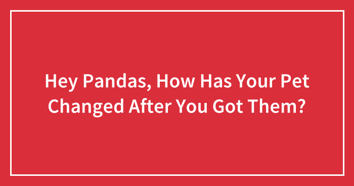Hey Pandas, How Has Your Pet Changed After You Got Them?