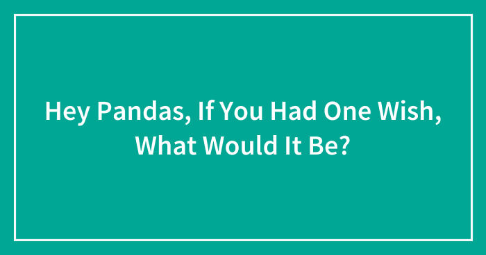 Hey Pandas, If You Had One Wish, What Would It Be? (Closed)