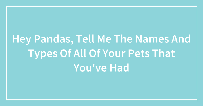 Hey Pandas, Tell Me The Names And Types Of All Of Your Pets That You’ve Had (Closed)