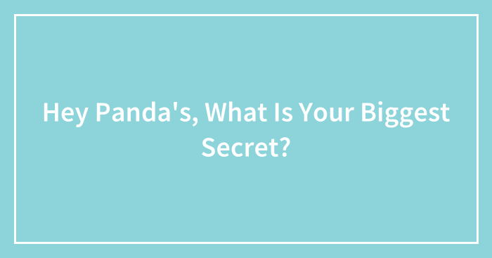Hey Panda’s, What Is Your Biggest Secret?