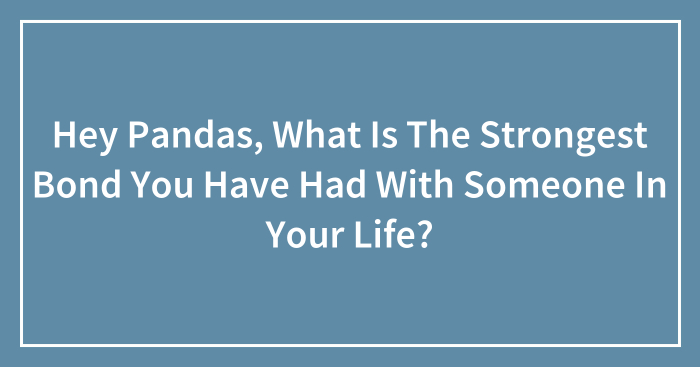 Hey Pandas, What Is The Strongest Bond You Have Had With Someone In Your Life? (Closed)